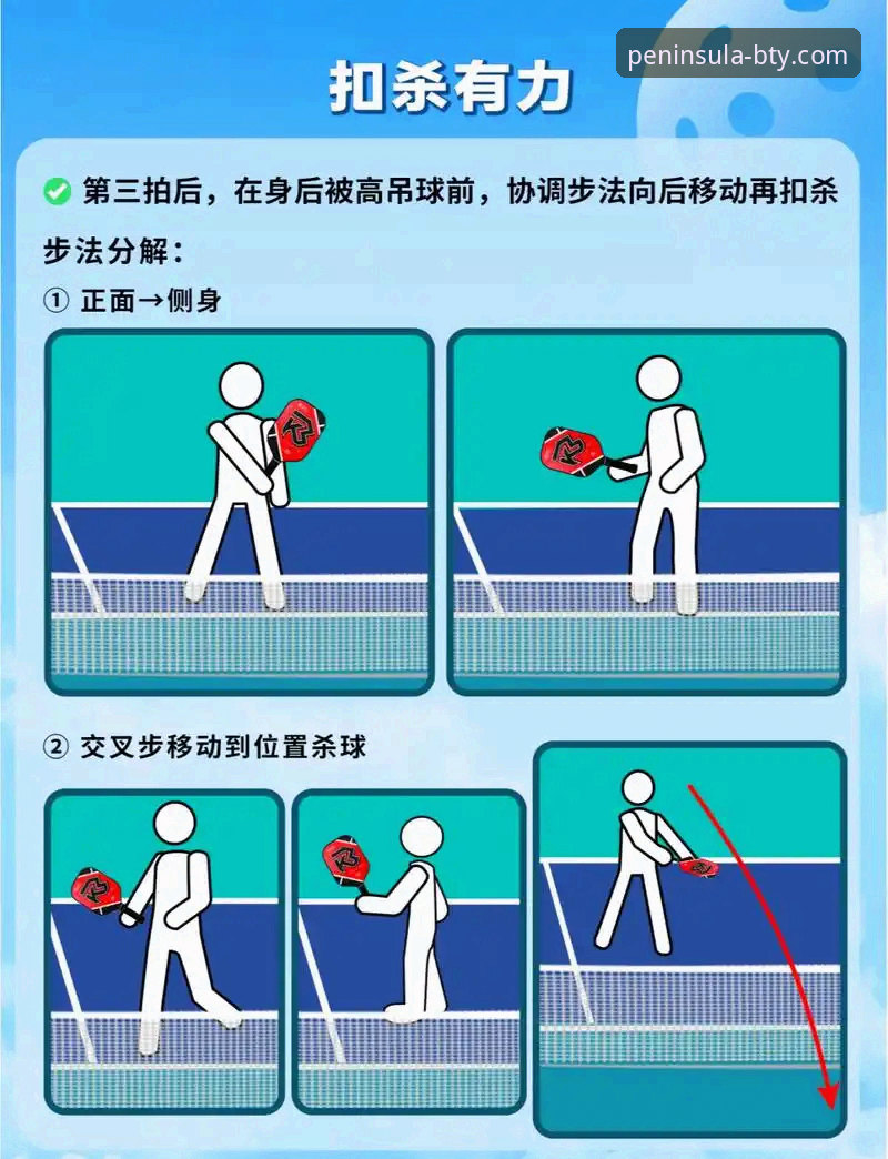 半岛体育官网下载必备:从入门到精通的操作教程